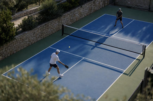 Pista de pickleball vista desde arriba con la zona de no volea y la red marcadas